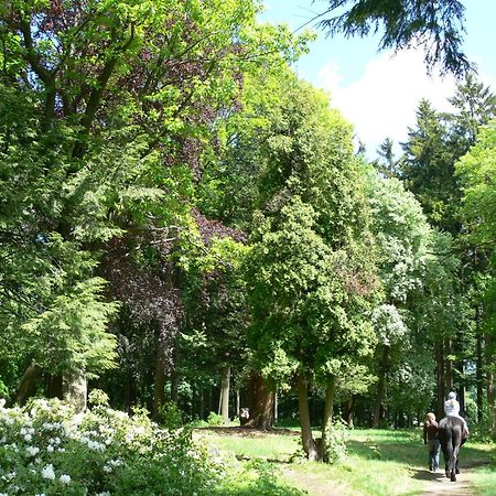 Parkhotel Smržovka Exteriör bild