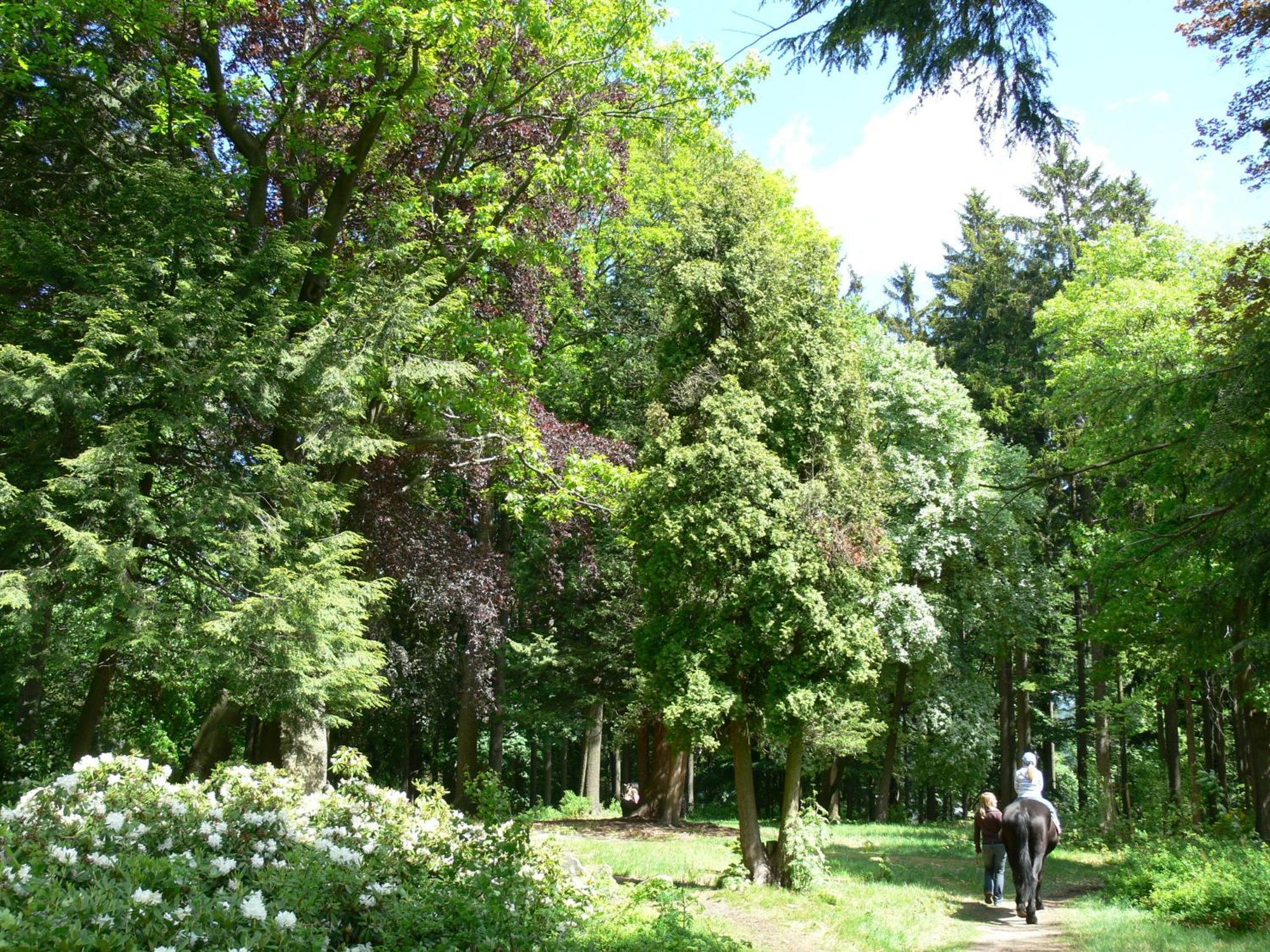 Parkhotel Smržovka Exteriör bild